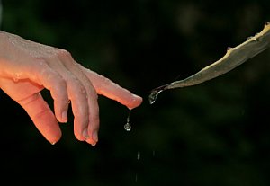 Kontakt mit hummel Wasseraufbereitung in Darmstadt